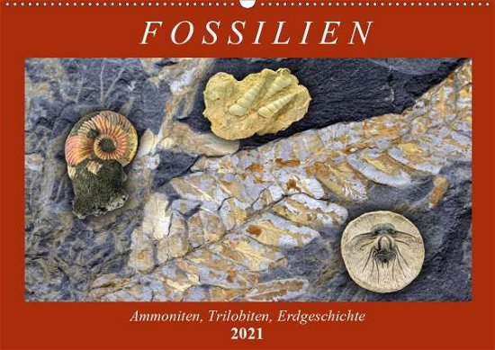 Cover for Frost · Fossilien - Ammoniten, Trilobiten (Bog)