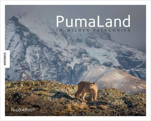 Cover for Arndt · PumaLand (Bog)