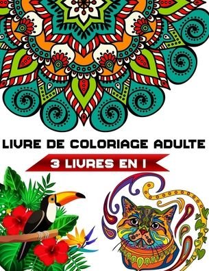 Cover for Nom de Famille Hugo · Livre De Coloriage Adulte 3 Livres en 1 (Taschenbuch) (2020)