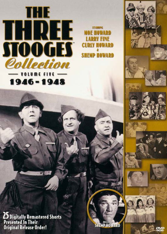 Cover for Three Stooges Collection 5: 1946-1948 (DVD) (2009)