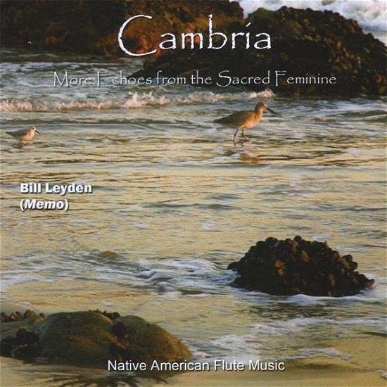 Cover for Memo · Cambria (CD) (2008)