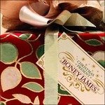 Christmas Present - Boney James - Musiikki - TOSHIBA - 4988005496041 - keskiviikko 21. marraskuuta 2007