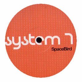 Cover for System 7 · Space Bird (LP) (2009)