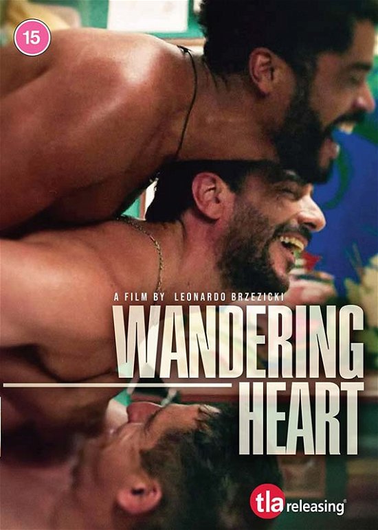 Cover for Leonardo Brzezicki · Wandering Heart (DVD) (2023)