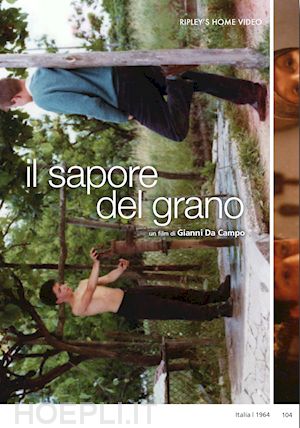 Cover for Sapore Del Grano (Il) (DVD) (2024)