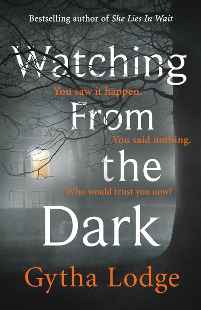 Cover for Gytha Lodge · Watching from the Dark (Paperback Bog) (2020)