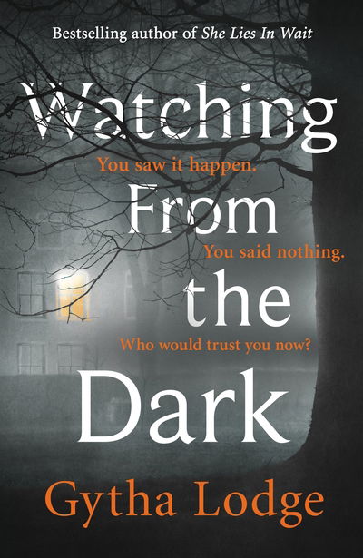 Cover for Gytha Lodge · Watching from the Dark (Taschenbuch) (2020)