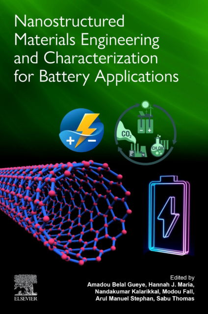 Cover for Amadou Belal Gueye · Nanostructured Materials Engineering and Characterization for Battery Applications (Paperback Book) (2024)