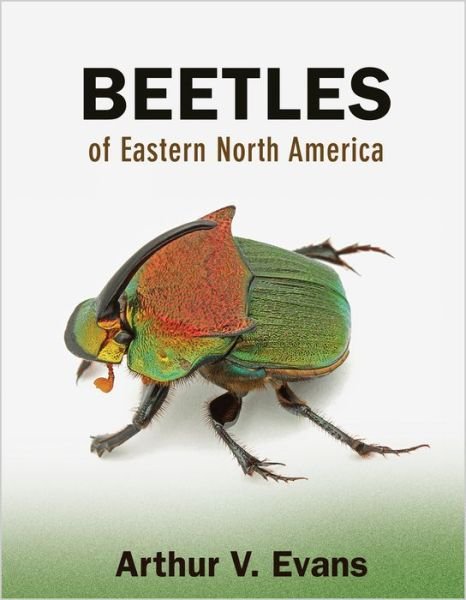 Cover for Arthur V. Evans · Beetles of Eastern North America (Paperback Book) (2014)