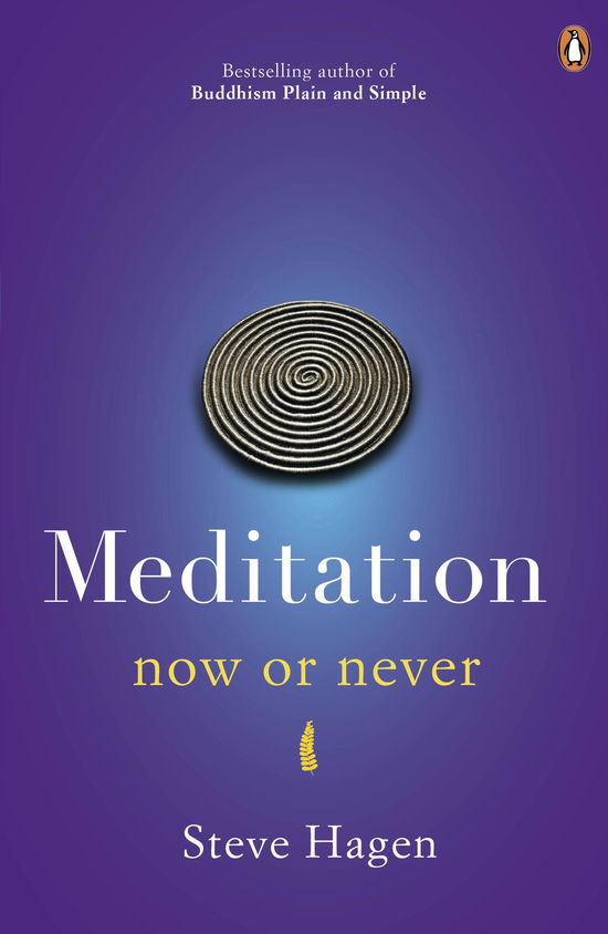 Cover for Steve Hagen · Meditation Now or Never (Paperback Book) (2012)