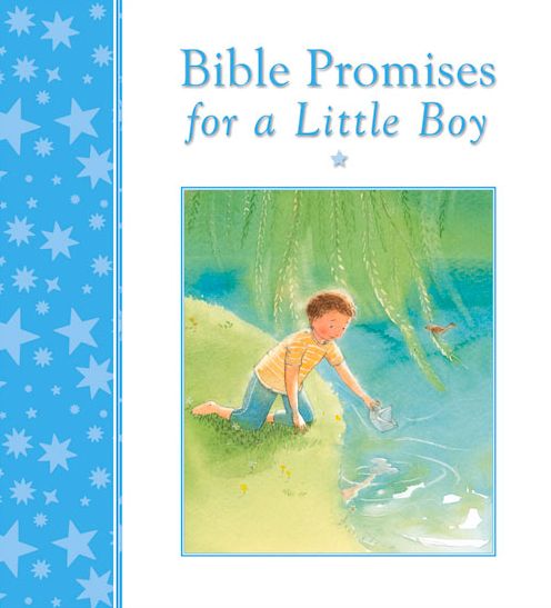 Bible Promises for a Little Boy - Mary Joslin - Książki - Lion Hudson Plc - 9780745964041 - 17 stycznia 2014