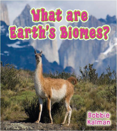 What Are Earths Biomes - Big Science Ideas - Bobbie Kalman - Books - Crabtree Publishing Co,Canada - 9780778733041 - July 1, 2009