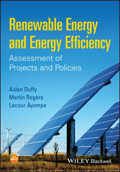 Cover for Duffy, Aidan (Dublin Institute of Technology) · Renewable Energy and Energy Efficiency: Assessment of Projects and Policies (Paperback Book) (2015)