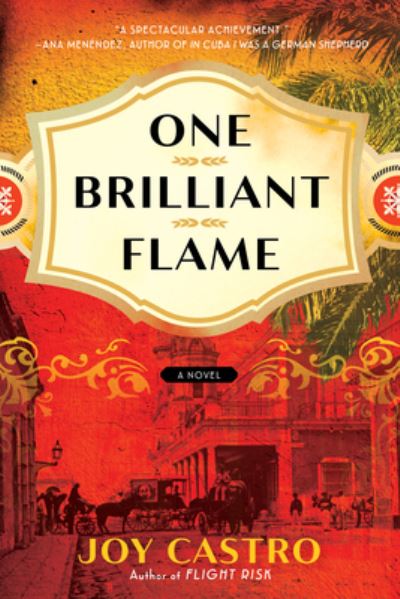 Cover for Joy Castro · One Brilliant Flame: A Novel (Paperback Book) (2023)