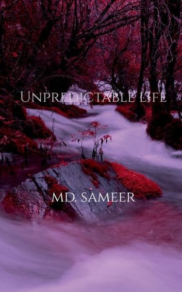 Cover for Sameer · Unpredictable Life (Buch) (2020)