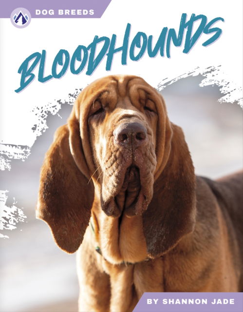 Cover for Shannon Jade · Dog Breeds: Bloodhounds (Hardcover Book) (2024)