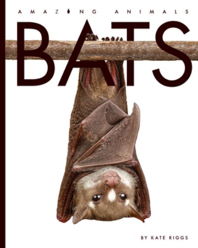 Cover for Valerie Bodden · Bats (Book) (2020)