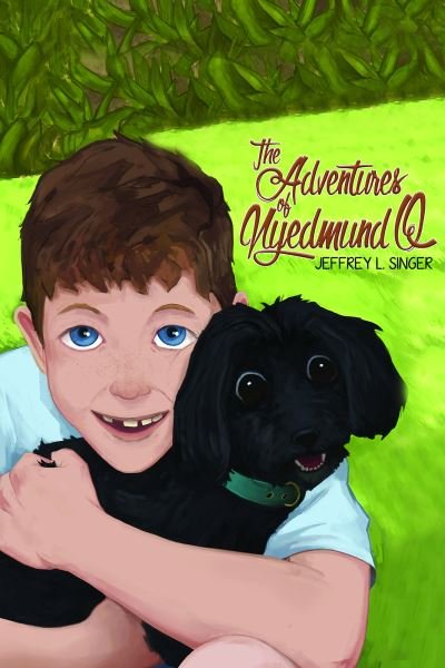 Cover for Jeffrey L. Singer · Adventures of Nyedmund Q (Hardcover Book) (2020)