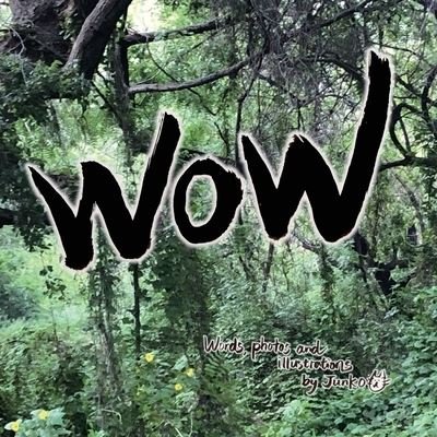 Cover for Junko · WOW by Junko: English &amp; Japanese (Paperback Bog) (2020)