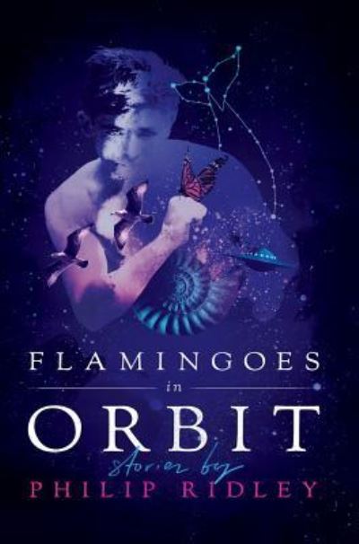 Cover for Philip Ridley · Flamingoes in Orbit (Inbunden Bok) (2018)