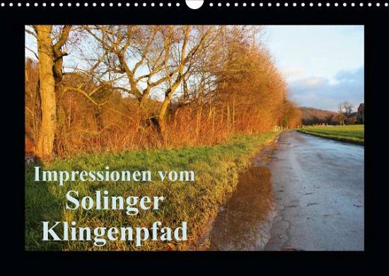 Cover for Bauch · Impressionen vom Solinger Klingen (Bok)