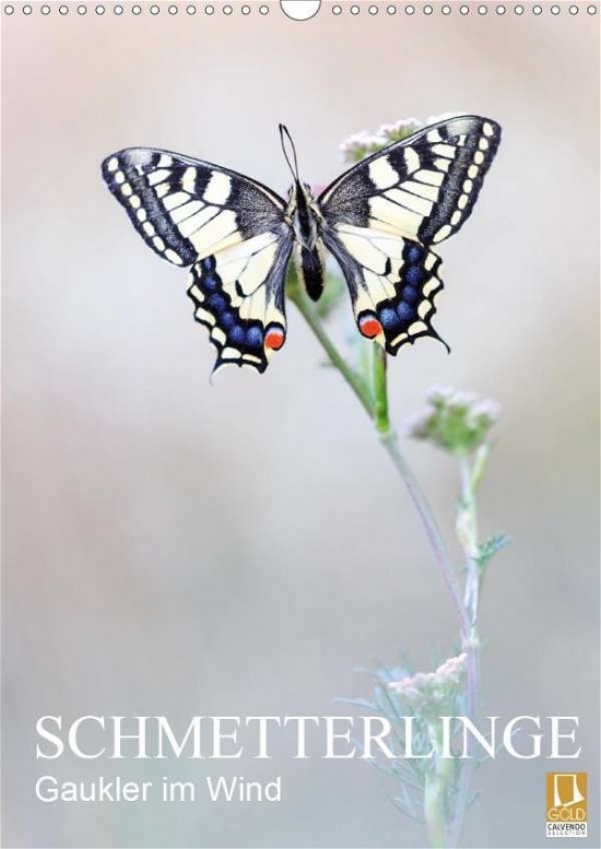 Schmetterlinge - Gaukler im Wind - Simon - Bøger -  - 9783671905041 - 