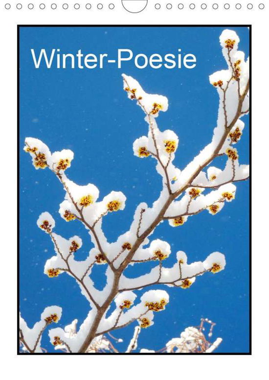 Cover for Kruse · Winter-Poesie (Wandkalender 2021 (Book)