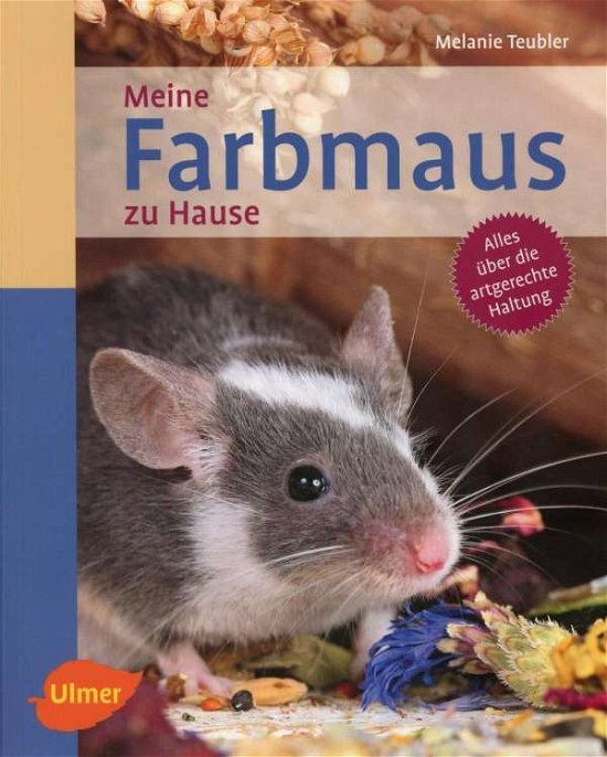 Cover for Teubler · Meine Farbmaus zu Hause (Bog)