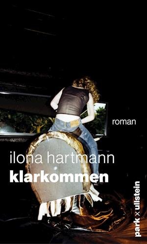 Cover for Ilona Hartmann · DiamantnÃ¤chte (Bok)