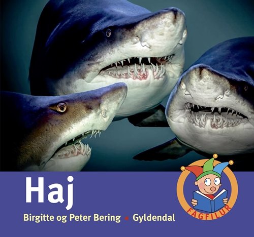 Cover for Peter Bering; Birgitte Bering · Fagfilur: Haj (Indbundet Bog) [1. udgave] (2017)
