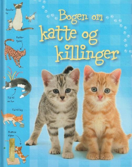 Bogen om katte og killinger - Sarah Khan - Bøger - Gad Børnebøger - 9788762725041 - 7. januar 2016