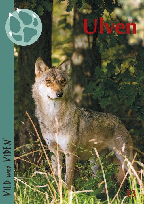Cover for Ina Fischer Andersen · Vild med Viden, Serie 2 Store vilde dyr: Ulven (Sewn Spine Book) [1er édition] (2013)