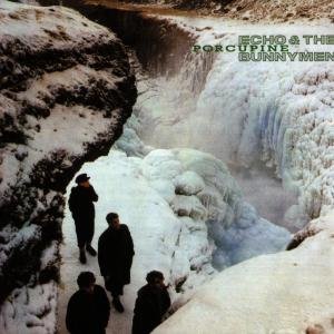 Cover for Echo &amp; The Bunnymen · Porcupine (LP) [Reissue edition] (1990)