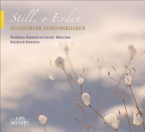 Cover for Augsburger Domsingknaben / Kammler · Still, o Erden (CD)