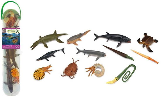 Cover for Collecta · Collecta - Mini Prehistoric Marine Animals Giftset (col01104) (Toys)