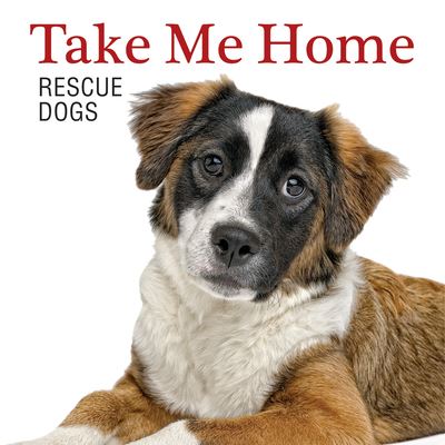 Cover for Andrew Grant · Take Me Home!: Rescue Dogs (Paperback Book) (2022)