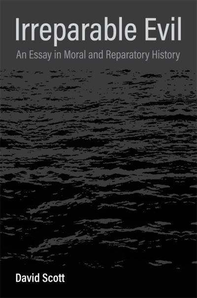 Cover for David Scott · Irreparable Evil: An Essay in Moral and Reparatory History (Innbunden bok) (2024)