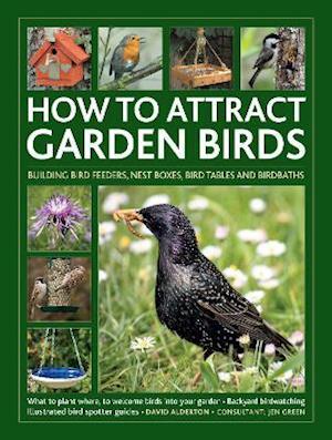 Cover for David Alderton · How to Attract Garden Birds: What to plant; Bird feeders, bird tables, birdbaths; Building nest boxes: Backyard birdwatching, with illustrated directories of common garden birds (Inbunden Bok) (2022)