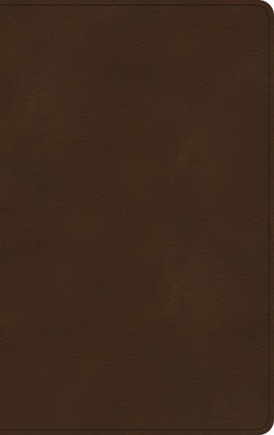 Cover for Holman Bible Staff · KJV Ultrathin Bible, Brown LeatherTouch (Kunstlederbuch) (2021)