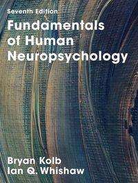 Cover for Bryan Kolb · Fundamentals of Human Neuropsychology (Hardcover Book) [1st ed. 2015 edition] (2015)