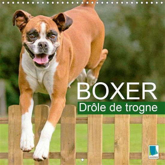 Cover for Boxer · Drôle de trogne (Calendrier mura (Book)