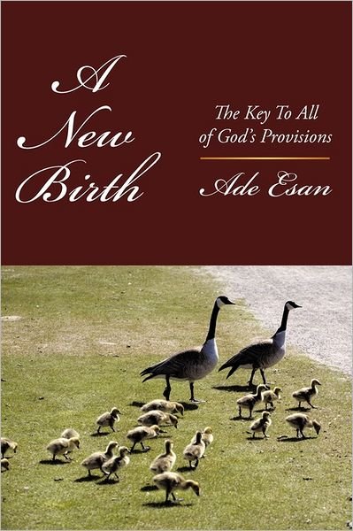 Cover for Ade Esan · A New Birth: the Key to All of God's Provisions (Pocketbok) (2011)