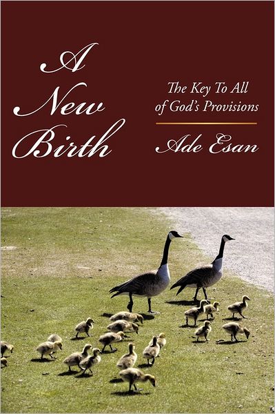 Cover for Ade Esan · A New Birth: the Key to All of God's Provisions (Paperback Book) (2011)