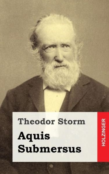 Cover for Theodor Storm · Aquis Submersus (Taschenbuch) (2013)