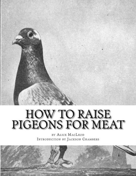 Cover for Alice Macleod · How to Raise Pigeons for Meat: Raising Pigeons for Squabs Book 10 (Pocketbok) (2015)