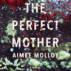 Cover for Aimee Molloy · The Perfect Mother Lib/E (CD) (2018)