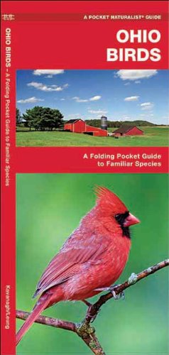 Cover for James Kavanagh · Ohio Birds: a Folding Pocket Guide to Familiar Species (Pocket Naturalist Guide Series) (Pamphlet) [1st edition] (2018)