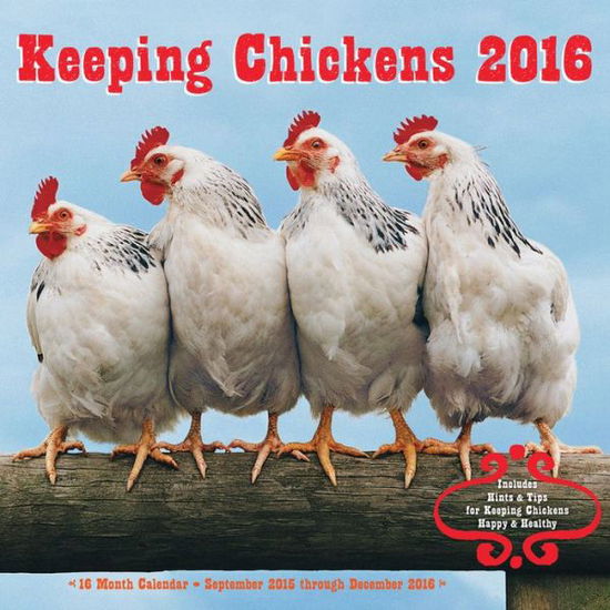 Cover for Editors of Rock Point · Keeping Chickens 2016 Mini: 16-Month Calendar September 2015 through December 2016 (Calendar) (2015)