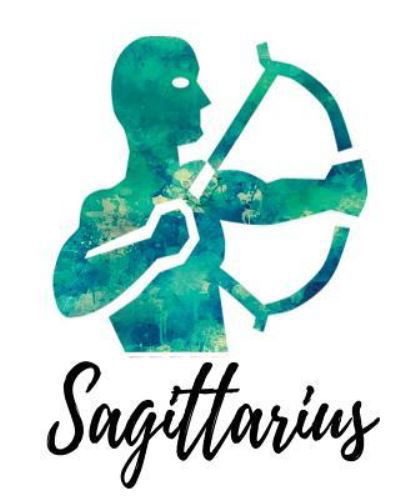 Cover for My Astrology Journals · Sagittarius (Paperback Bog) (2018)