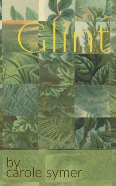 Cover for Carole Symer · Glint (Paperback Book) (2021)